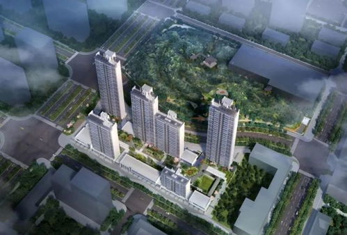 CBD片区再迎新机 山体公园准现房，置地广场打造价格亲民装修住宅