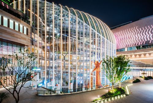 光环闪耀，再启新程 香港置地“光环”产品线首秀，重庆置地广场焕新城市商业图景